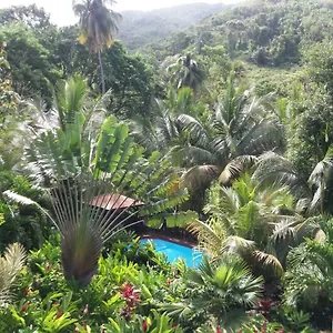 ti-pln-krol.comcaribbean.com/